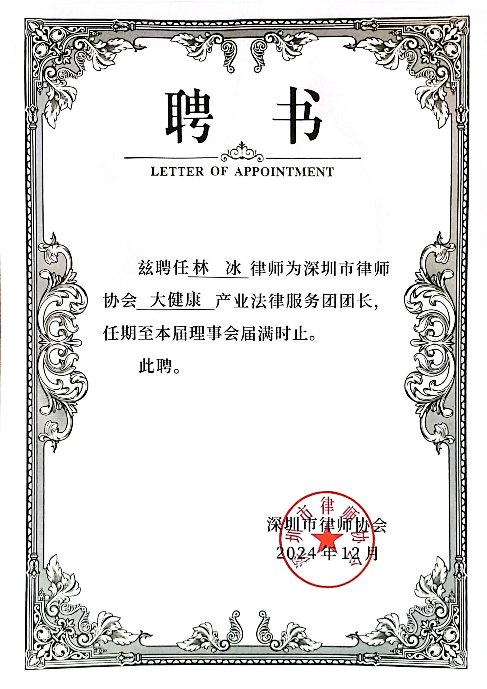 深圳市律协大健康产业法律服务团团长